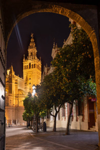 Cena con boys o boy en Sevilla ciudad